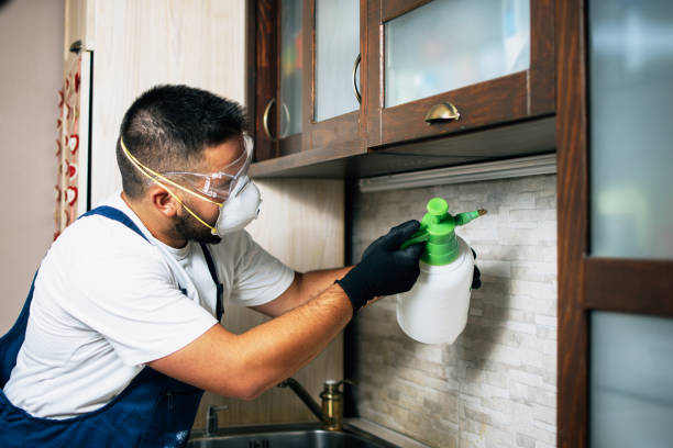 Best Flea Control Services  in Belleville, PA