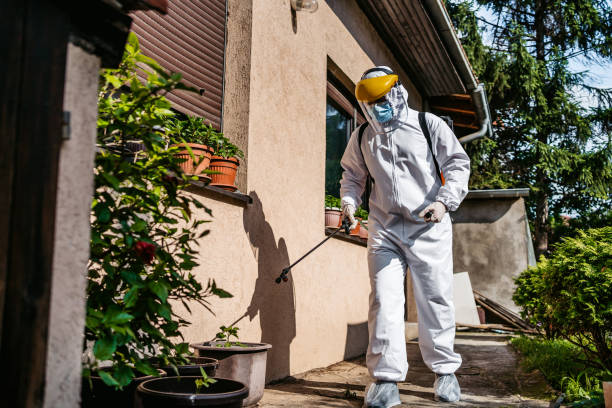 Best Termite Control Services  in Belleville, PA