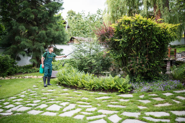 Best Wasp Removal Services  in Belleville, PA