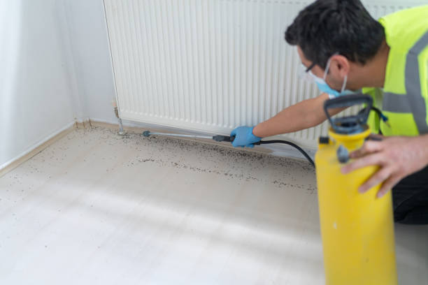 Best Residential Pest Control  in Belleville, PA
